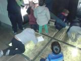 IMG-20140108-WA0004