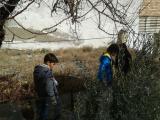 IMG-20140108-WA0005