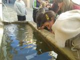 IMG-20140108-WA0006