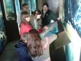 IMG-20140108-WA0007