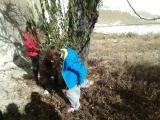 IMG-20140108-WA0011