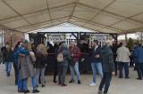 fiesta_vino_9_26032022_013