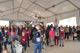 fiesta_vino_9_26032022_211