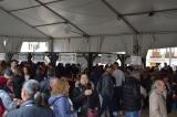 fiesta_vino_9_26032022_271