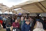 fiesta_vino_9_26032022_285