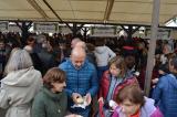 fiesta_vino_9_26032022_289