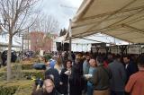 fiesta_vino_9_26032022_297