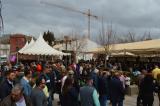 fiesta_vino_9_26032022_317