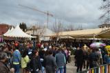 fiesta_vino_9_26032022_318