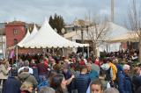 fiesta_vino_9_26032022_325