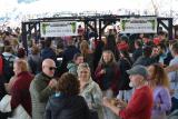 feria_vino_10_4_feb_2023_062