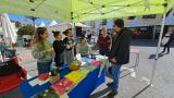 fiesta_vino_11_2024_002