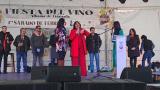 fiesta_vino_11_2024_027