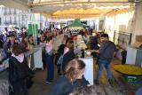 fiesta_vino_11_2024_100