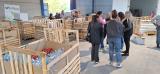 fornes_atar_jayena_valencia_02