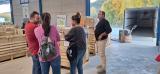 fornes_atar_jayena_valencia_11