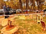 micologicas_2024_025