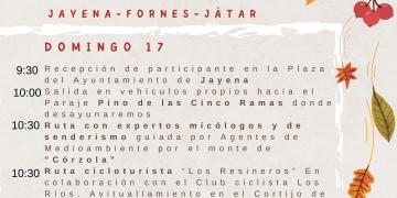 actividades-comarcales
