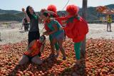 Asistentes a la primera gazpachina en una pelea a tomatazo limpio
20/09/2015
FOTO: ANTONIO ARENAS