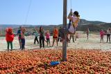 Particpantes a la primera gazpachina disfrazados de tomates
20/09/2015
FOTO: ANTONIO ARENAS