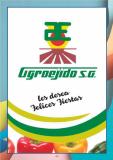 Libro fiestas 2024 conv 15