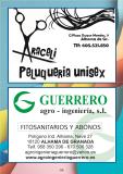 Libro fiestas 2024 conv 59