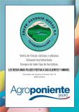 Libro fiestas 2024 conv 7