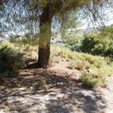 imagen_009