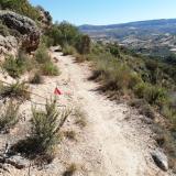 imagen_030