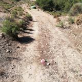 imagen_044