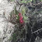 imagen_050