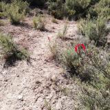 imagen_052