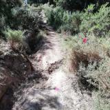 imagen_053