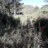 imagen_055