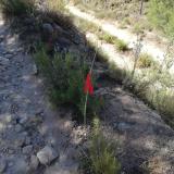imagen_059