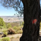imagen_061