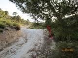 imagen_002