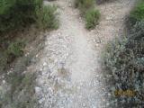 imagen_005