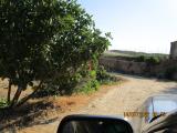 imagen_015