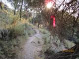 imagen_017