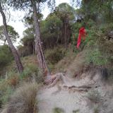 imagen_022
