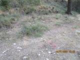 imagen_025