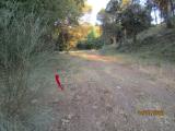 imagen_026