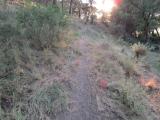imagen_027