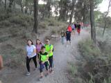 imagen_013