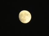 imagen_025