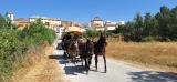 romeria_jayena_2024_016