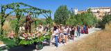 romeria_jayena_2024_018