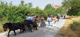 romeria jayena 25_013