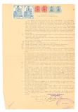 pinar_de_alhama_100_anos_2024_014